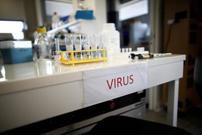 Ученые предупредили о риске новой пандемии