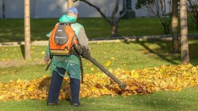 Утренний кошмар: Почему уборщики листьев мешают петербуржцам?