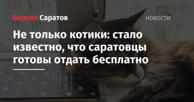 Не только котики: стало известно, что саратовцы готовы отдать бесплатно