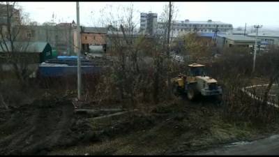 Благодаря соавтору Sakh.com мэрия Южно-Сахалинска узнала о незаконном сносе деревьев