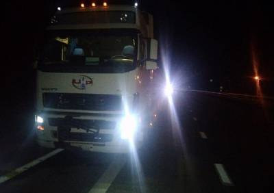 На трассе М5 под Рязанью грузовик насмерть сбил мужчину