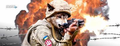 На украинском ТВ хвастаются, что ВСУ нарушают перемирие и убивают...
