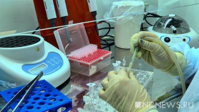 Уральские ученые тестируют новые лекарства от осложнений после коронавируса