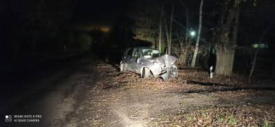 В Рязанском районе пьяный водитель на «Ладе Калине» врезался в дерево