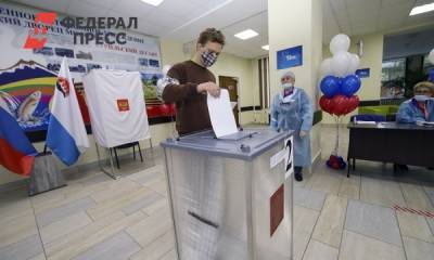 Эксперт рассказал, ждать ли Камчатке новых выборов губернатора