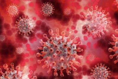 За время пандемии почти 600 учителей заразились коронавирусом