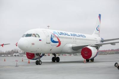 «Уральские авиалинии» снова переоборудуют самолеты под перевозку грузов