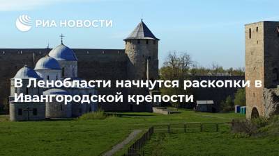 В Ленобласти начнутся раскопки в Ивангородской крепости