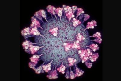 Ученые создали точную 3D-модель коронавируса, которая может помочь в создании вакцины: видео и фото