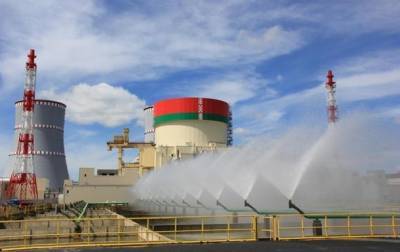 В Беларуси остановили выработку электроэнергии на АЭС