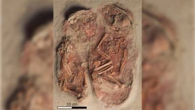 Обнаружено самое древнее захоронение близнецов