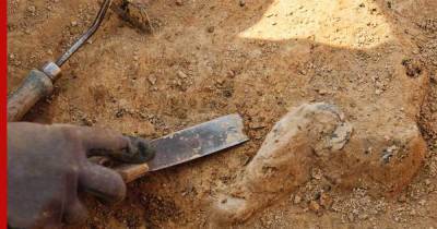Археологи нашли останки самых древних близнецов в истории