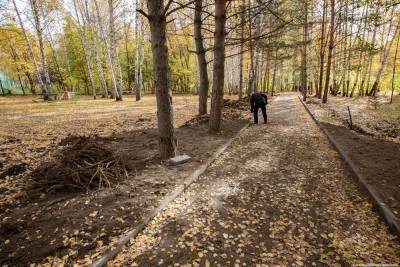 В Михайловской роще построят площадки для выгула собак и паркура