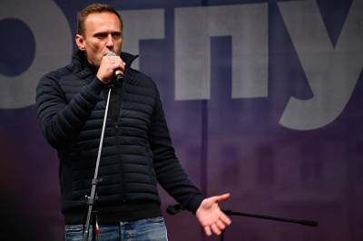 Жириновский предложил аннулировать загранпаспорт Навального, чтобы он не вернулся в Россию