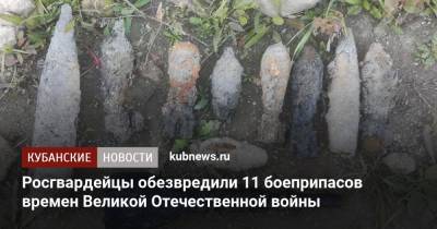 Росгвардейцы обезвредили 11 боеприпасов времен Великой Отечественной войны