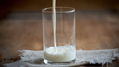 В Башкирии отмечается рост цен на молоко