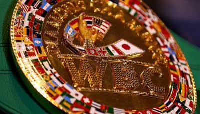 WBC назовет новую весовую категорию «Бриджер»