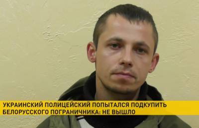 Контрабандисты пытались подкупить белорусского пограничника. Итог — до 5 лет лишения свободы