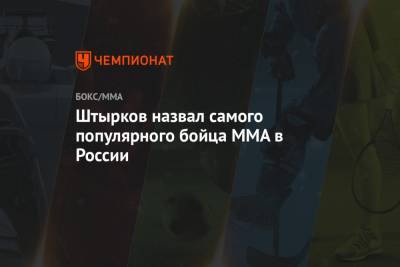Штырков назвал самого популярного бойца MMA в России