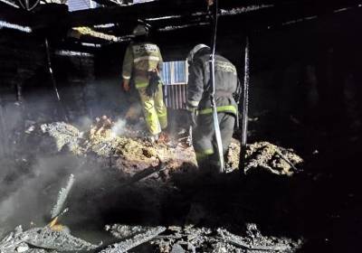 В Смоленской области возбудили новое уголовное дело из-за страшного пожара в Ельне