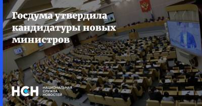 Госдума утвердила кандидатуры новых министров