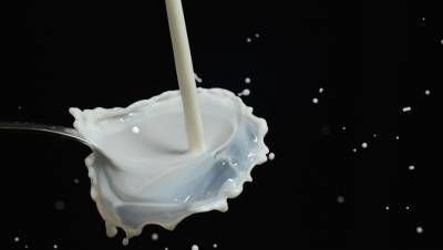 Петербуржцы стали чаще жаловаться на качество молока