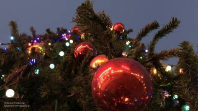 Власти Московской области не планируют массовых мероприятий на Новый год