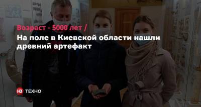 Возраст — 5000 лет. На поле в Киевской области нашли древний артефакт