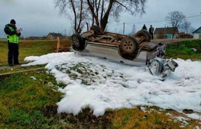 Автомобиль врезался в дерево в Гомельской области: погиб человек