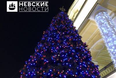 Новогоднюю ель установили на Невском проспекте в Петербурге