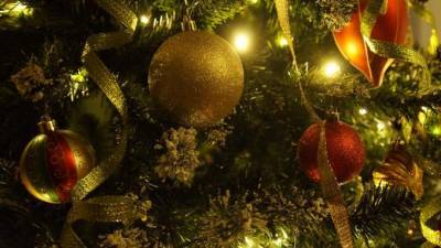 На Невском проспекте установили новогоднюю ель