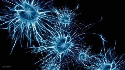 Ученые создали наночастицы, доставляющие лекарство внутрь мозга