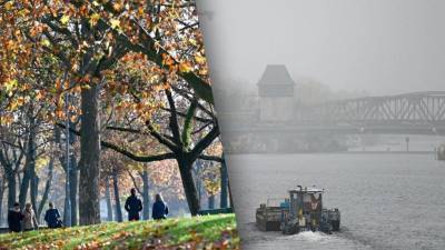Необычный ноябрь: в Германии будет солнечно и тепло, как в начале осени