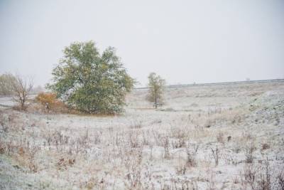 Первый снег выпадет в Волгоградской области в ночь на 11 ноября
