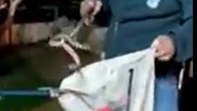 Видео: работница по уходу спасла подопечную от заползшей в дом гадюки в Петах-Тикве