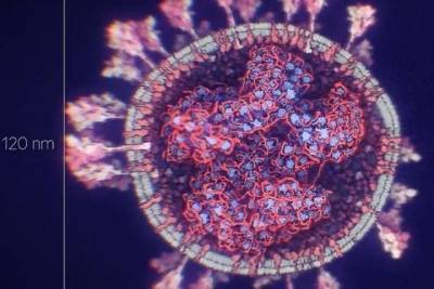 Ученые из Саудовской Аравии создали самую точную визуализацию коронавируса