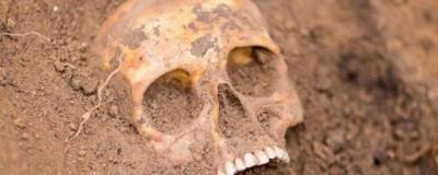 В ЮАР нашли череп древнейшего человека возрастом 2 миллиона лет