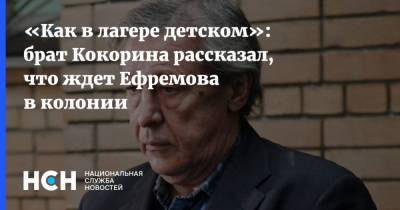 «Как в лагере детском»: брат Кокорина рассказал, что ждет Ефремова в колонии