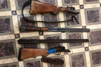 У убивших более десятка лосей браконьеров под Новосибирском нашли ружья и тысячи долларов