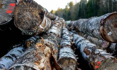 В Красноярском крае провели 900 рейдов среди перевозчиков леса