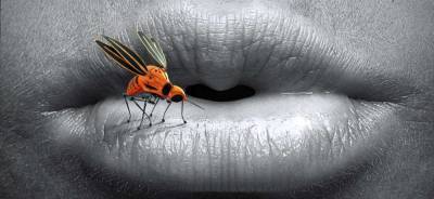 Роспотребнадзор назвал срок жизни коронавируса в комарах
