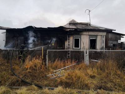 На Южном Урале пожарные спасли от смерти в огне 9 щенков