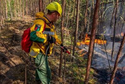 Сезон лесных пожаров завершился в Хабаровском крае