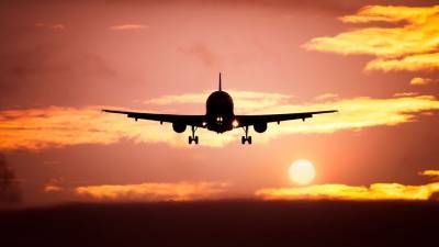 Казахстанский самолет вернулся в аэропорт вылета из-за столкновения с птицами
