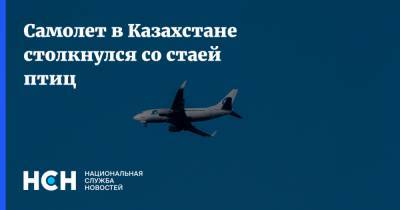 Самолет в Казахстане столкнулся со стаей птиц