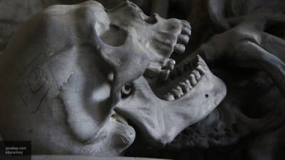 Ученые из Австралии нашли в ЮАР череп возрастом два миллиона лет