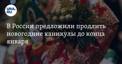 В России предложили продлить новогодние каникулы до конца января
