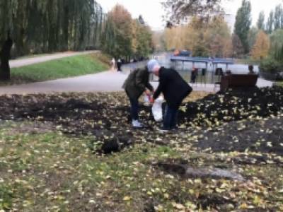 В столичном парке произошла наглая кража растительного грунта