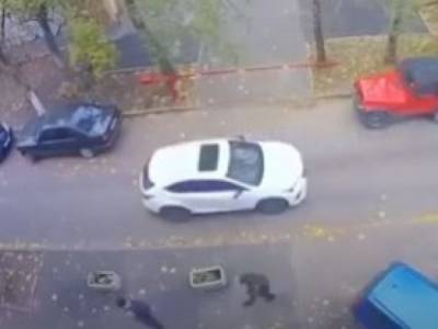 «Вижу цель - не вижу препятствий»: в Харькове женщина отличилась аварийной парковкой