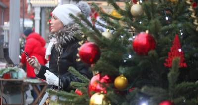 Депутаты предложили продлить новогодние каникулы в РФ